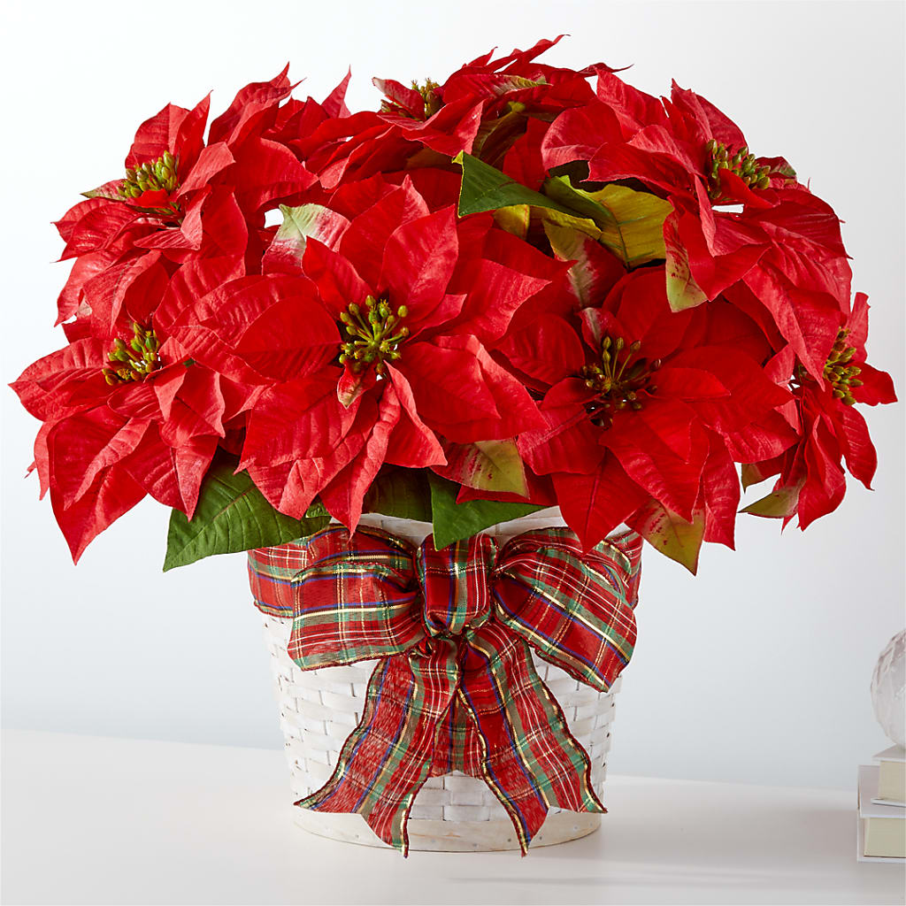 Happiest Holidays Poinsettia – GEHRKE FLORAL & GREENHOUSES, Mondovi WI