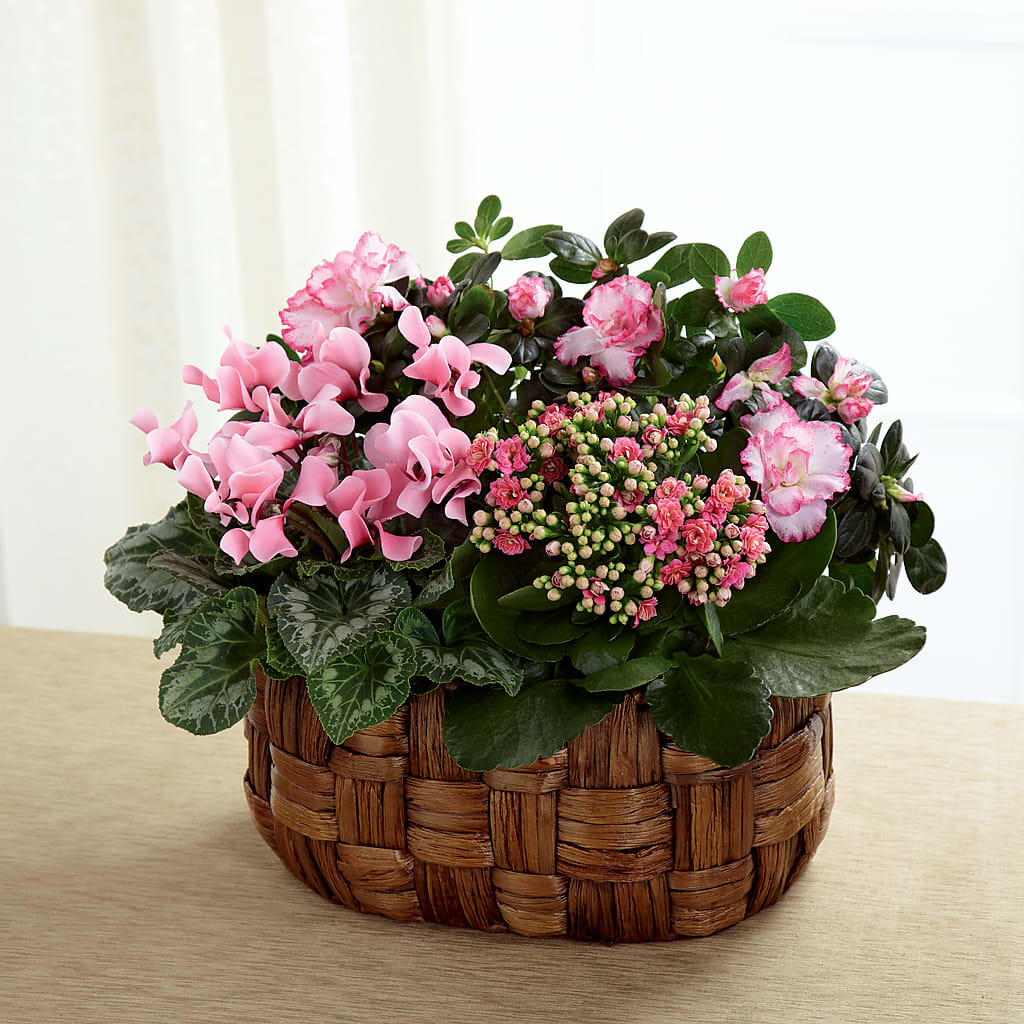 Pink Assortment – GEHRKE FLORAL & GREENHOUSES, Mondovi WI