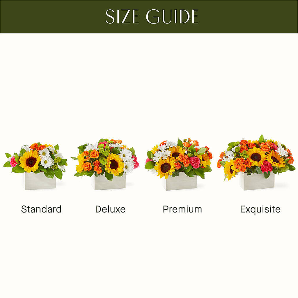 Sun-drenched Blooms Box Bouquet – GEHRKE FLORAL & GREENHOUSES, Mondovi WI