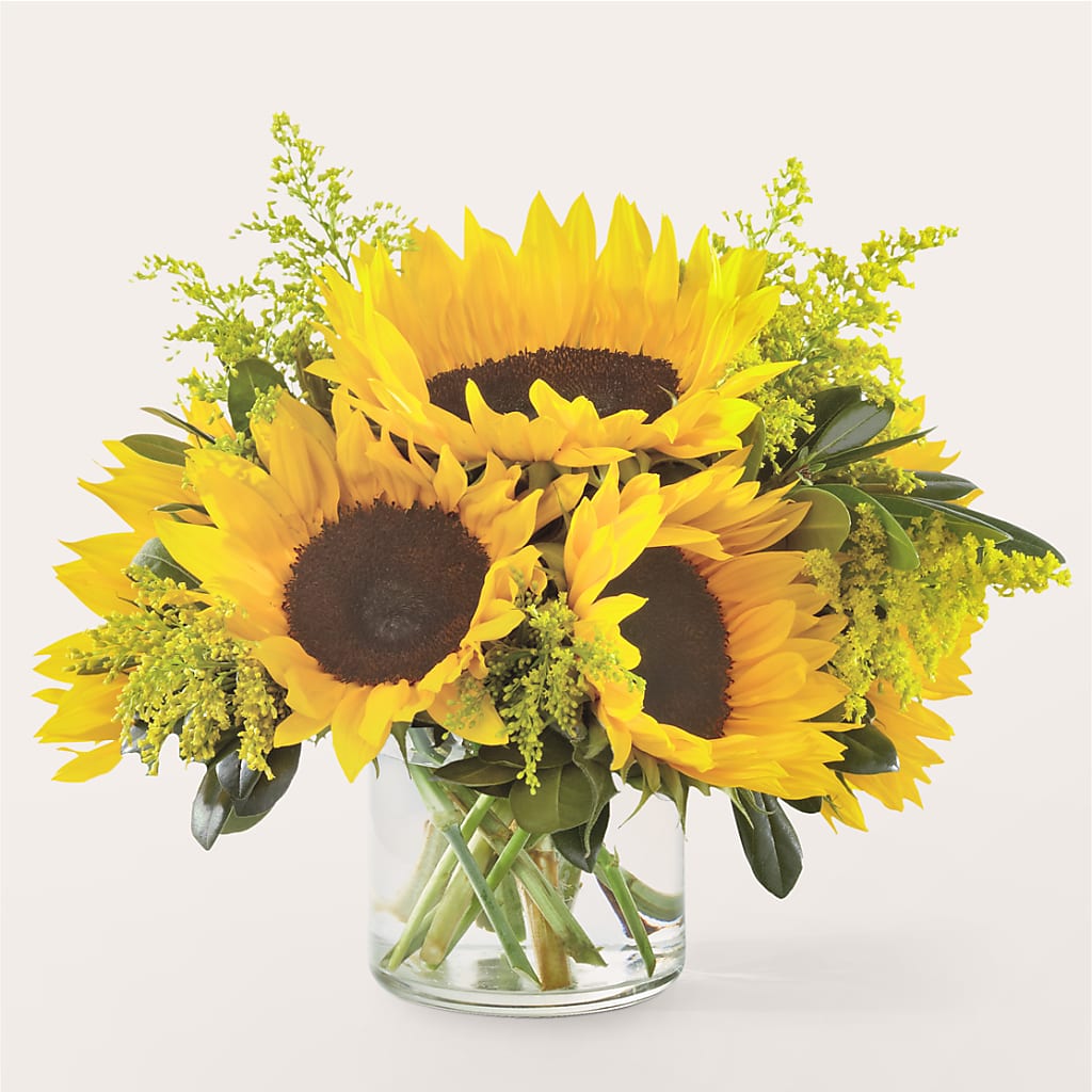 Beaming Sunflower Bouquet – GEHRKE FLORAL & GREENHOUSES, Mondovi WI