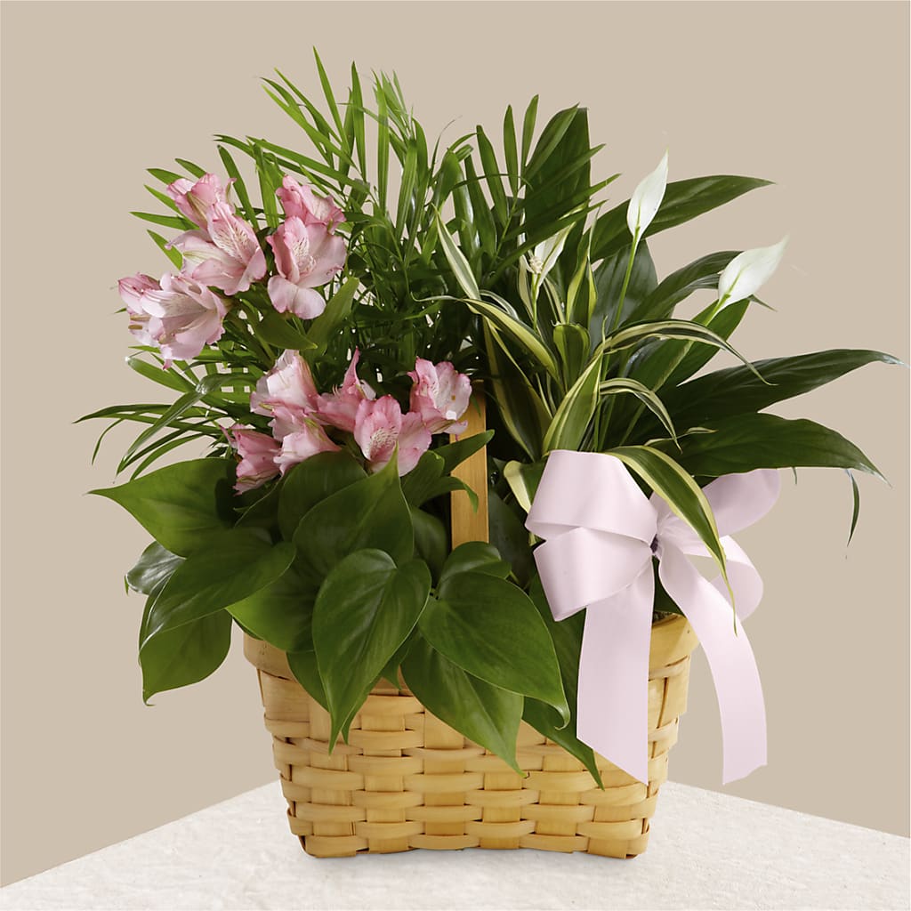 Living Spirit Dishgarden – GEHRKE FLORAL & GREENHOUSES, Mondovi WI