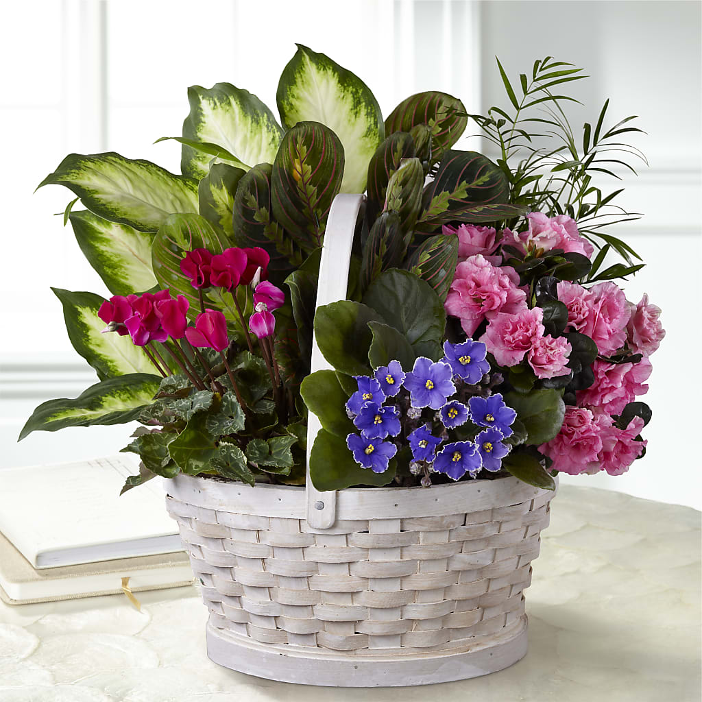 Peaceful Garden Planter – GEHRKE FLORAL & GREENHOUSES, Mondovi WI