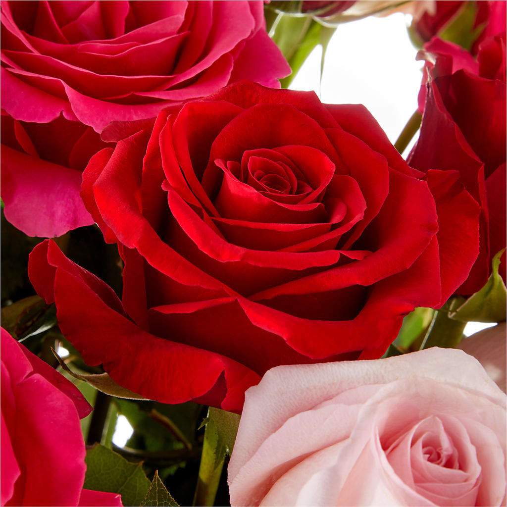 Love Notes Rose Bouquet – GEHRKE FLORAL & GREENHOUSES, Mondovi WI