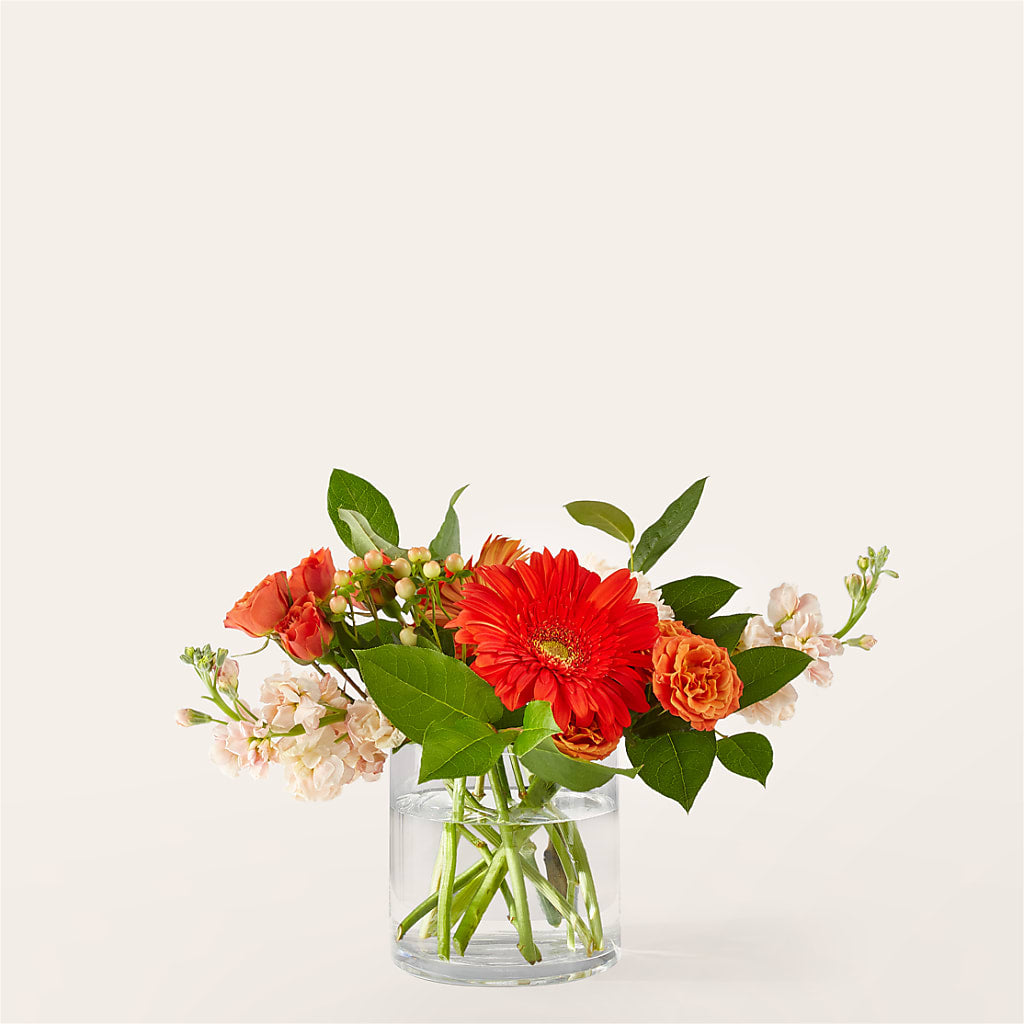 Paloma Please Bouquet – GEHRKE FLORAL & GREENHOUSES, Mondovi WI