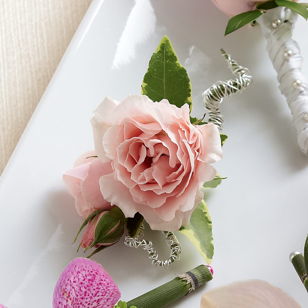 Pink Spray Rose Boutonniere – GEHRKE FLORAL & GREENHOUSES, Mondovi WI