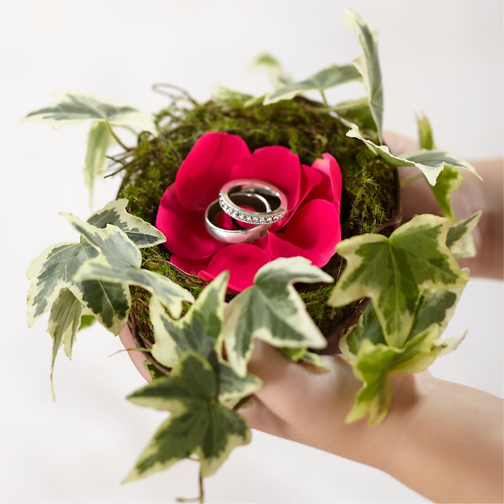 Lila Rose Ring Nest – GEHRKE FLORAL & GREENHOUSES, Mondovi WI