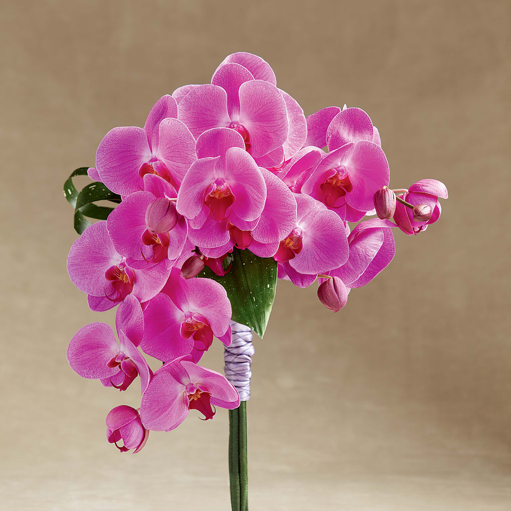 Glorious Bouquet – GEHRKE FLORAL & GREENHOUSES, Mondovi WI
