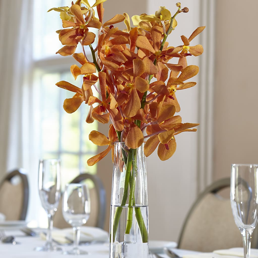 Orange Mokara Bud Vase – GEHRKE FLORAL & GREENHOUSES, Mondovi WI
