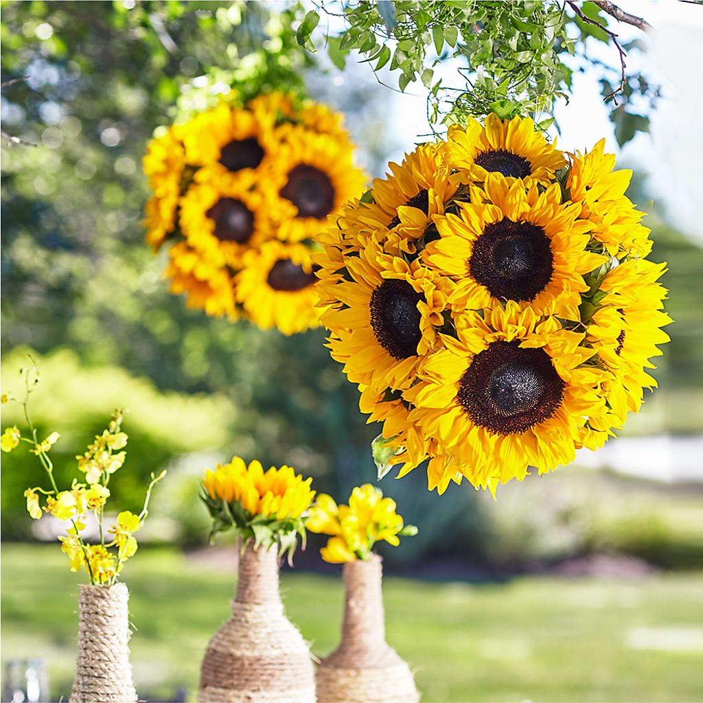 Sublime Garden Hanging Arrangement – GEHRKE FLORAL & GREENHOUSES, Mondovi WI
