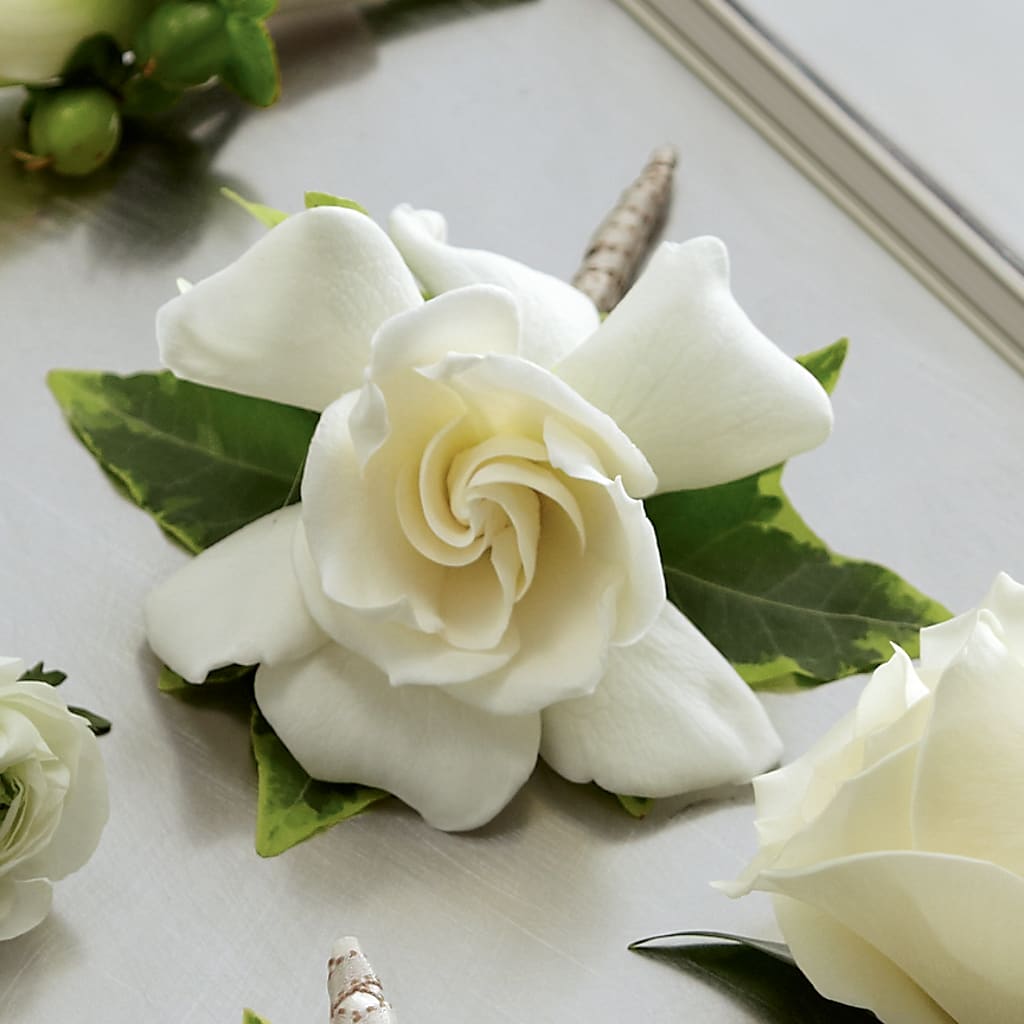 Gardenia Boutonniere – GEHRKE FLORAL & GREENHOUSES, Mondovi WI