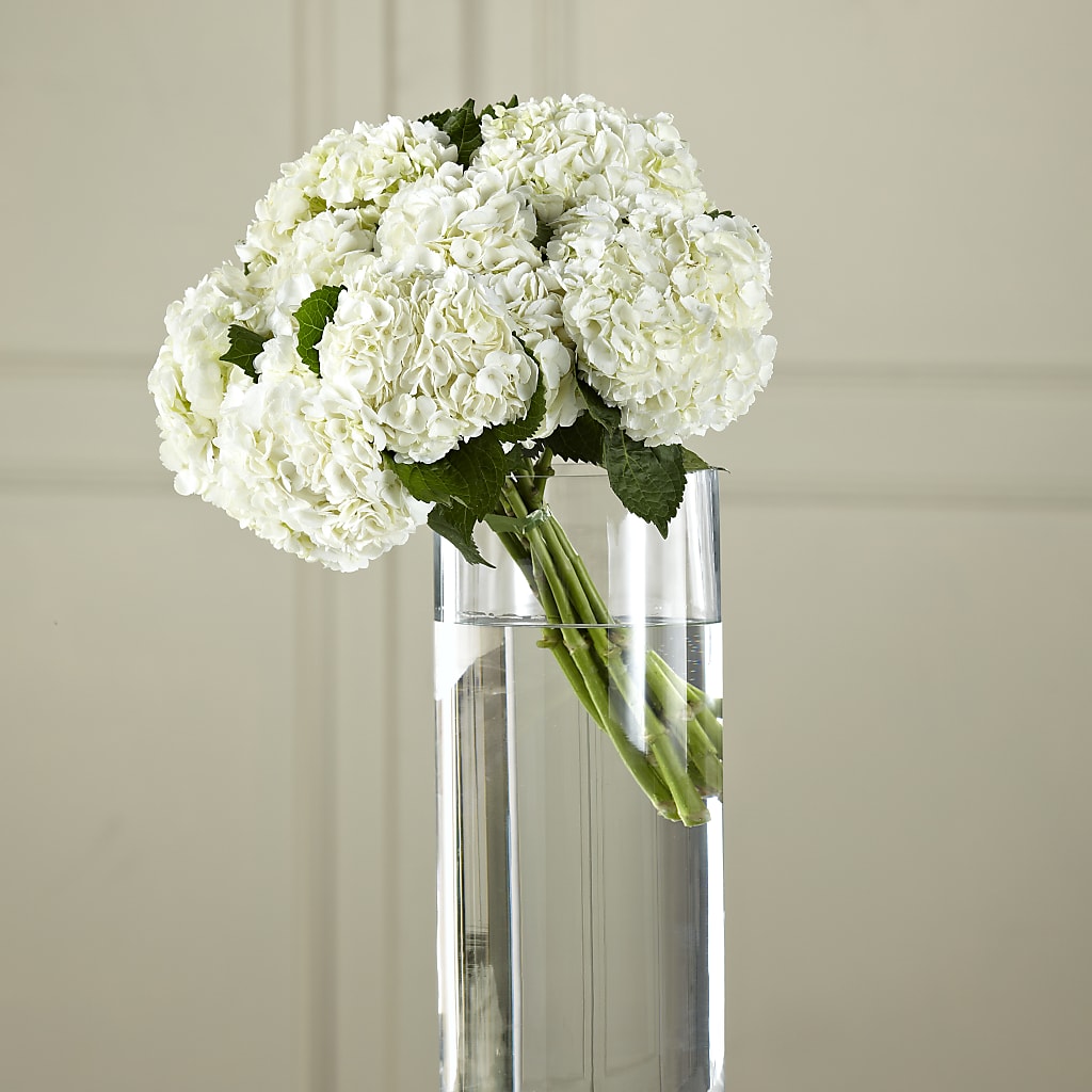 White Hydrangea Hand-Tied Bouquet – GEHRKE FLORAL & GREENHOUSES, Mondovi WI