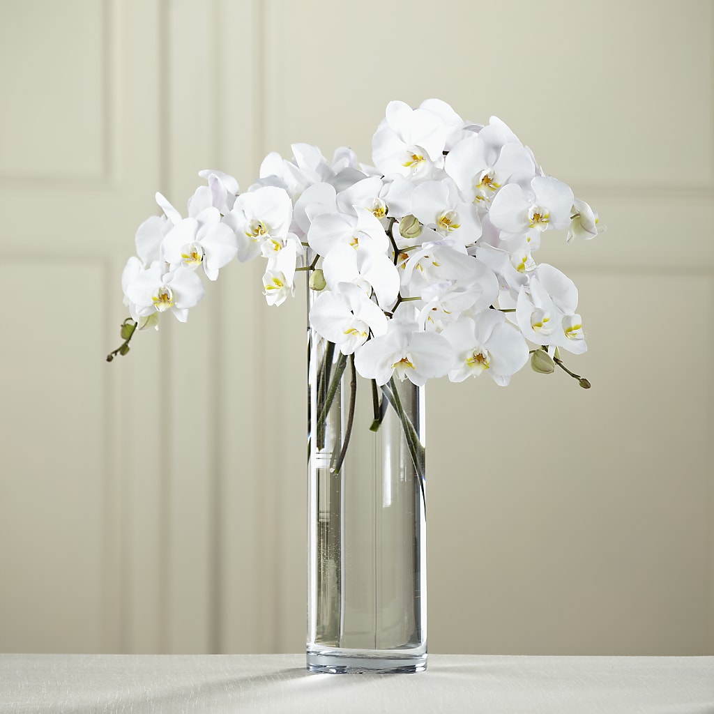 White Phalaenopsis Bouquet – GEHRKE FLORAL & GREENHOUSES, Mondovi WI