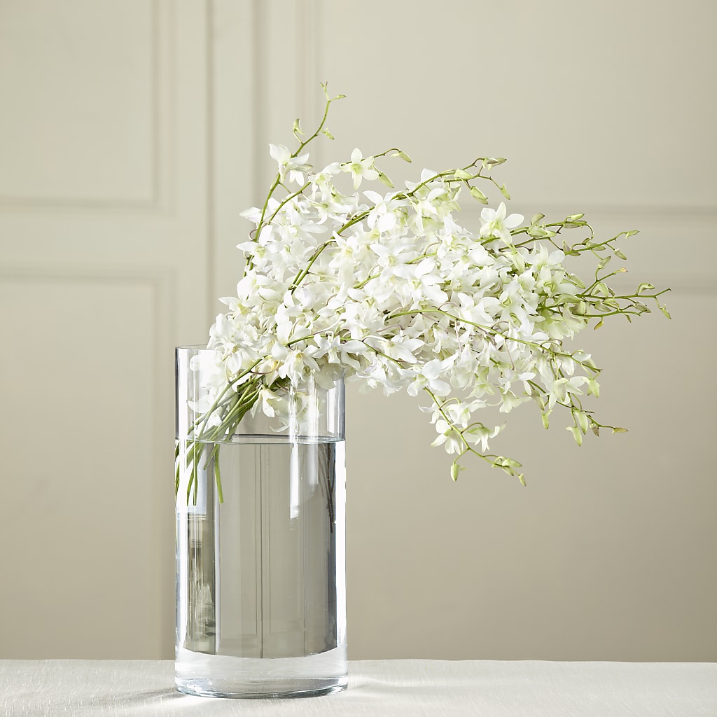 White Dendrobium Bouquet – GEHRKE FLORAL & GREENHOUSES, Mondovi WI