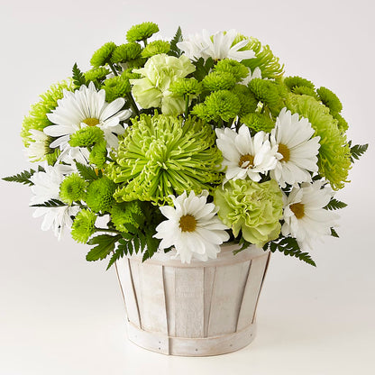 Lucky Charm Basket (Standard) – GEHRKE FLORAL & GREENHOUSES, Mondovi WI