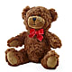 Adorable Plush Bear – GEHRKE FLORAL & GREENHOUSES, Mondovi WI