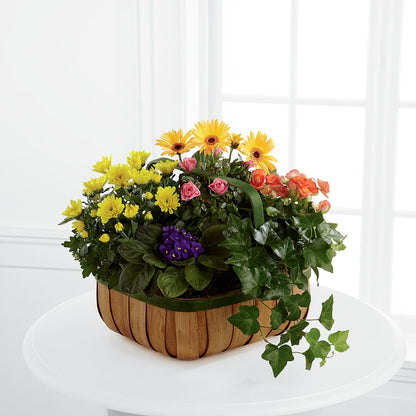 Gentle Blossoms Basket – GEHRKE FLORAL & GREENHOUSES, Mondovi WI