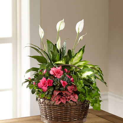 Dream in Pink Dishgarden – GEHRKE FLORAL & GREENHOUSES, Mondovi WI