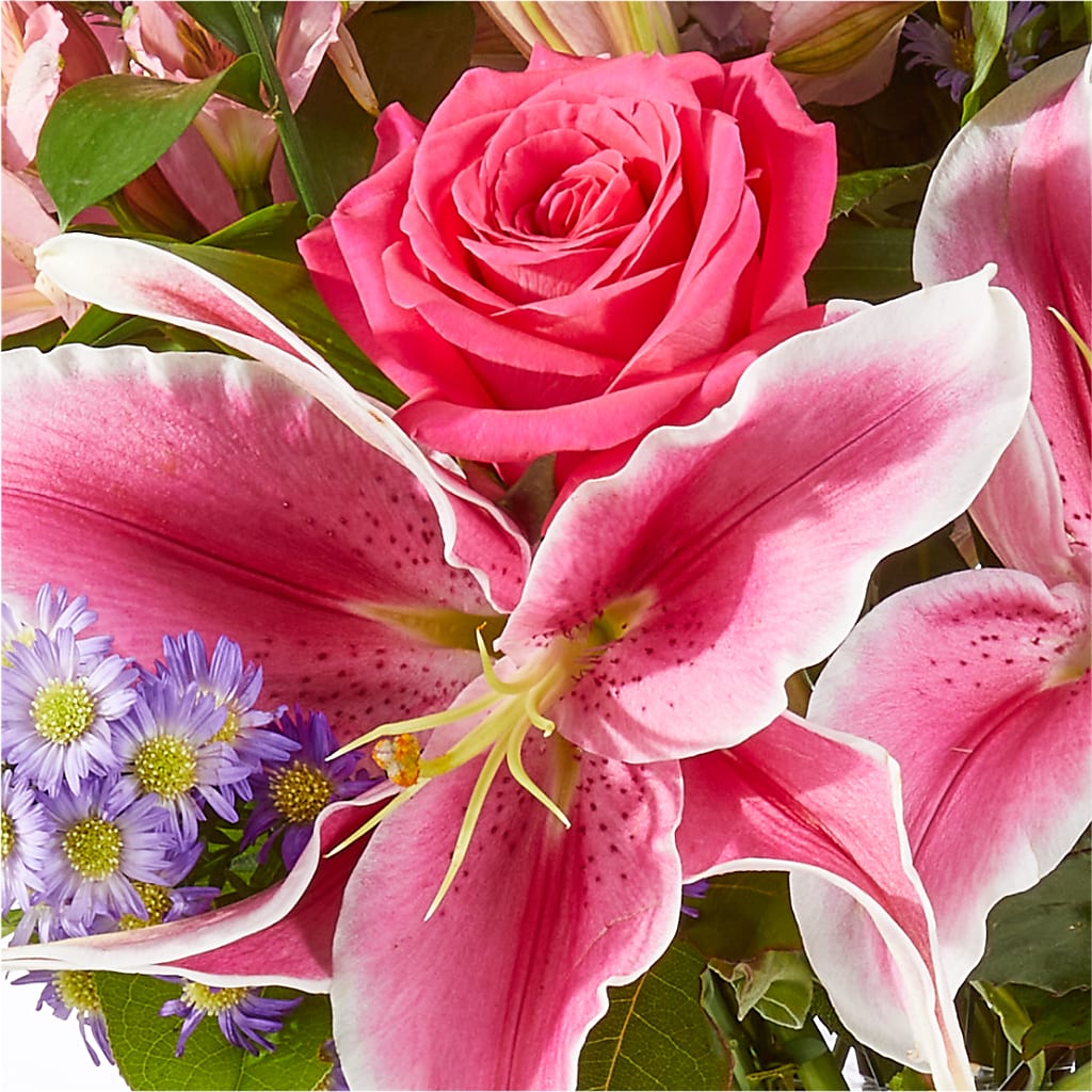 Written in the Stars Bouquet – GEHRKE FLORAL & GREENHOUSES, Mondovi WI