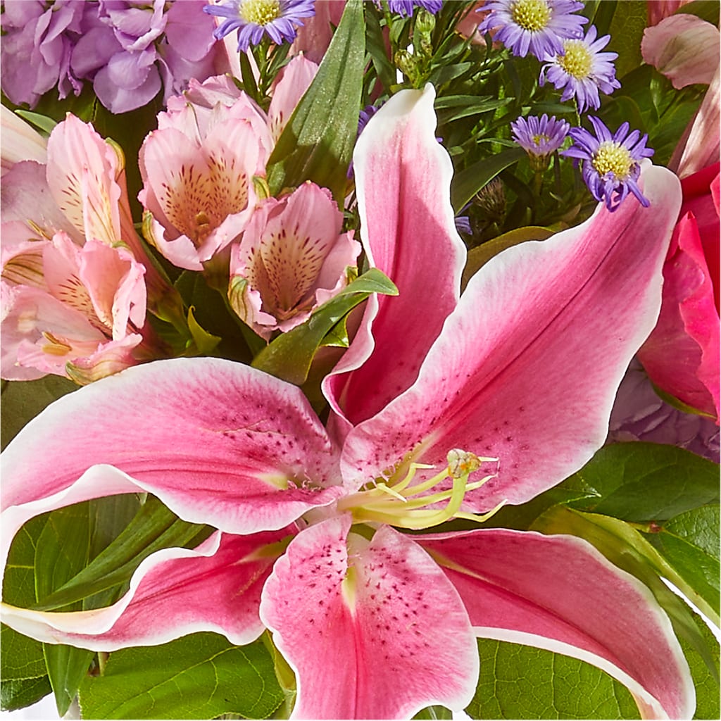 Written in the Stars Bouquet – GEHRKE FLORAL & GREENHOUSES, Mondovi WI