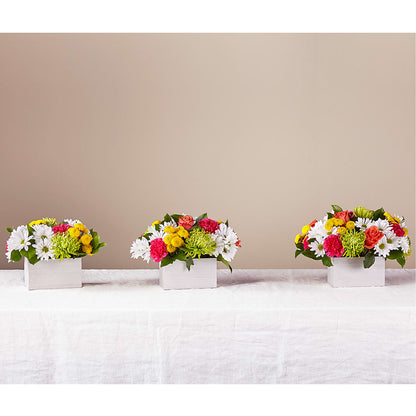 Sorbet Bouquet – GEHRKE FLORAL & GREENHOUSES, Mondovi WI