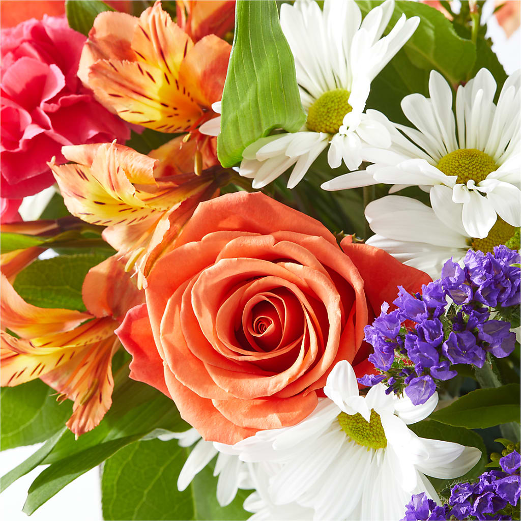 Oopsie Daisy Box Bouquet – GEHRKE FLORAL & GREENHOUSES, Mondovi WI