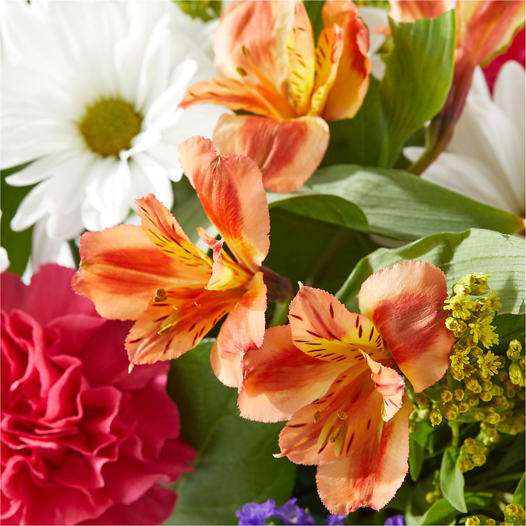 Oopsie Daisy Box Bouquet – GEHRKE FLORAL & GREENHOUSES, Mondovi WI