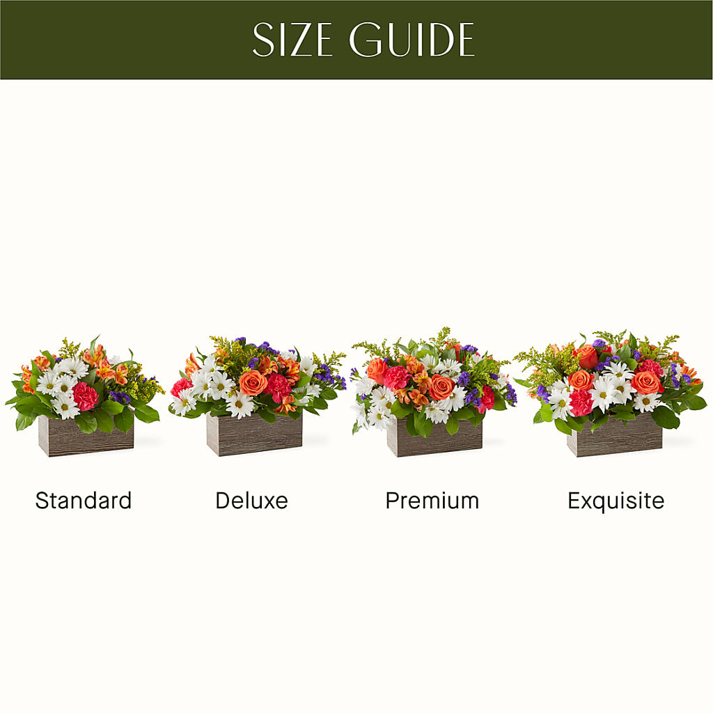 Oopsie Daisy Box Bouquet – GEHRKE FLORAL & GREENHOUSES, Mondovi WI