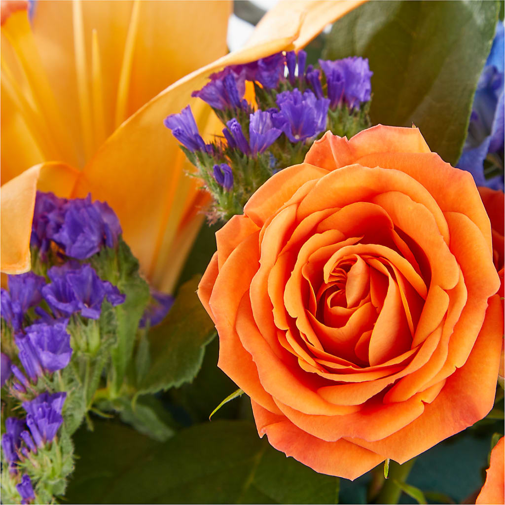 Radiant Citrus Box Bouquet – GEHRKE FLORAL & GREENHOUSES, Mondovi WI