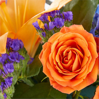 Radiant Citrus Box Bouquet – GEHRKE FLORAL & GREENHOUSES, Mondovi WI