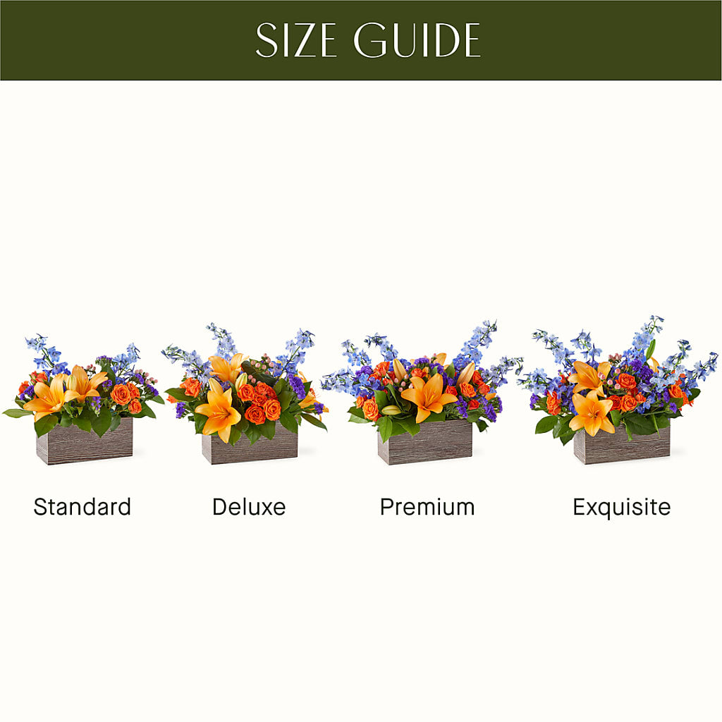 Radiant Citrus Box Bouquet – GEHRKE FLORAL & GREENHOUSES, Mondovi WI