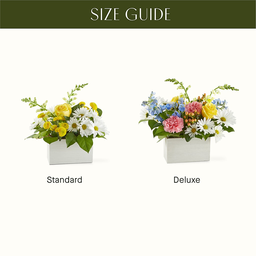 Sun Salutation Box Bouquet – GEHRKE FLORAL & GREENHOUSES, Mondovi WI