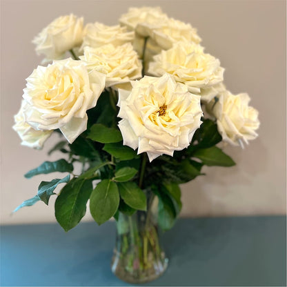 Long Stem Yellow Rose Bouquet – GEHRKE FLORAL & GREENHOUSES, Mondovi WI