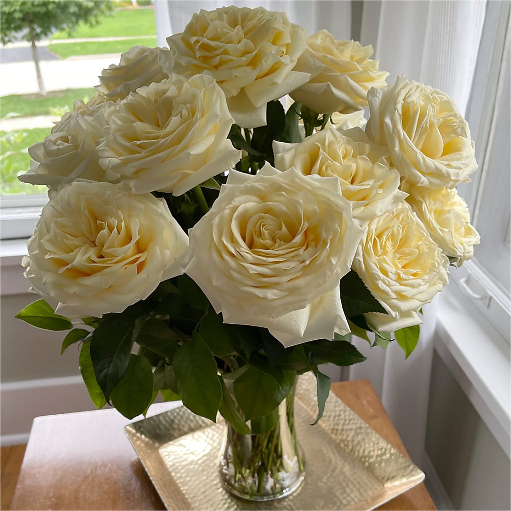Long Stem Yellow Rose Bouquet – GEHRKE FLORAL & GREENHOUSES, Mondovi WI