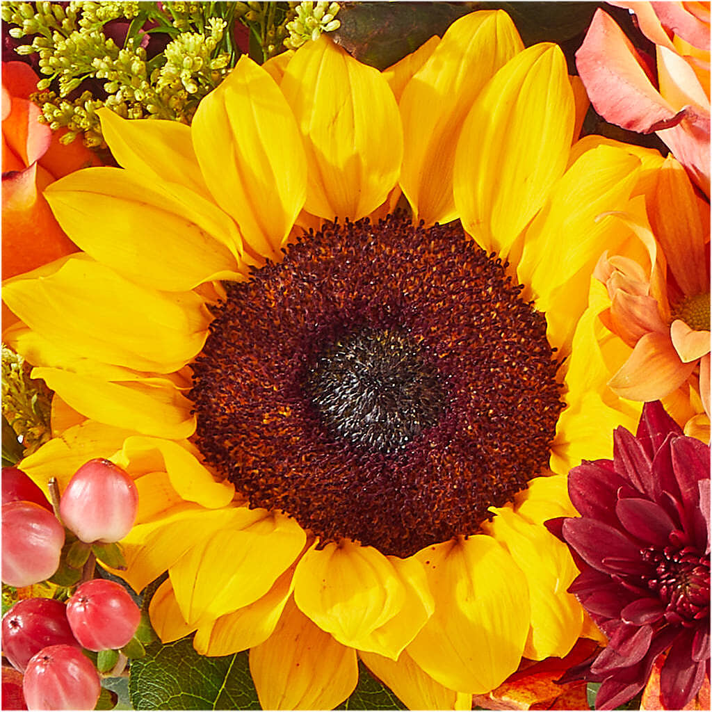 The Outdoors Bouquet – GEHRKE FLORAL & GREENHOUSES, Mondovi WI