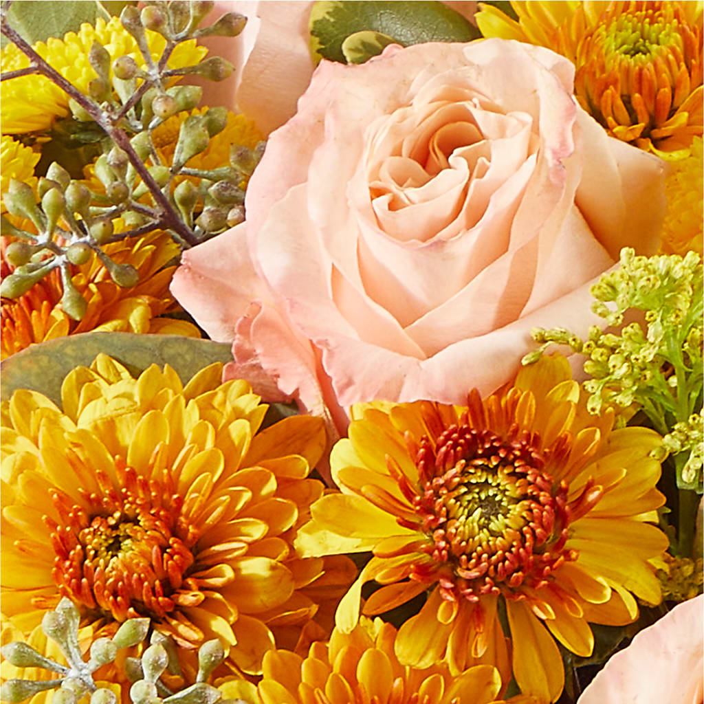 Peachy Pumpkin – GEHRKE FLORAL & GREENHOUSES, Mondovi WI