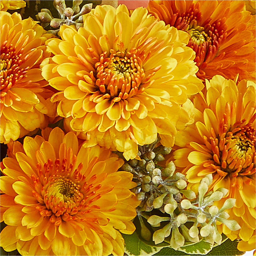 Peachy Pumpkin – GEHRKE FLORAL & GREENHOUSES, Mondovi WI