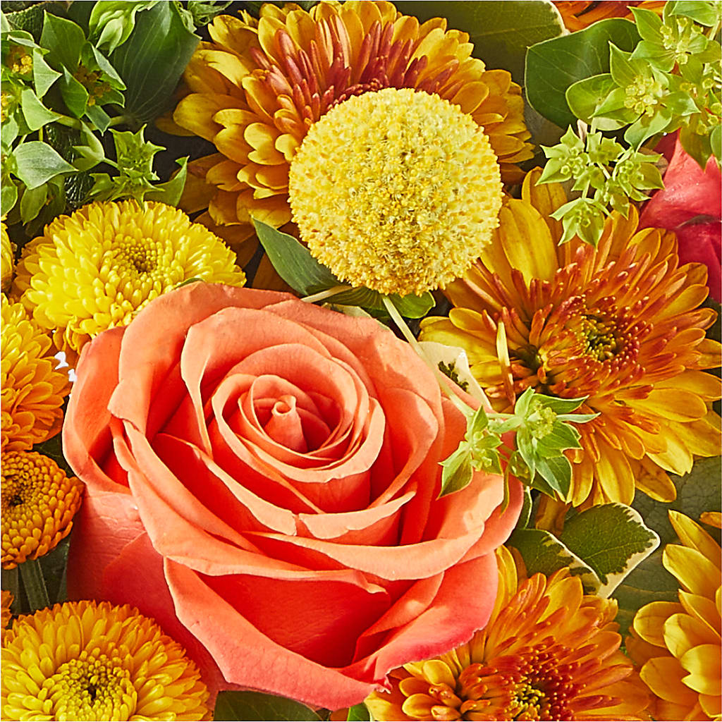 Gourdgeous Pumpkin – GEHRKE FLORAL & GREENHOUSES, Mondovi WI
