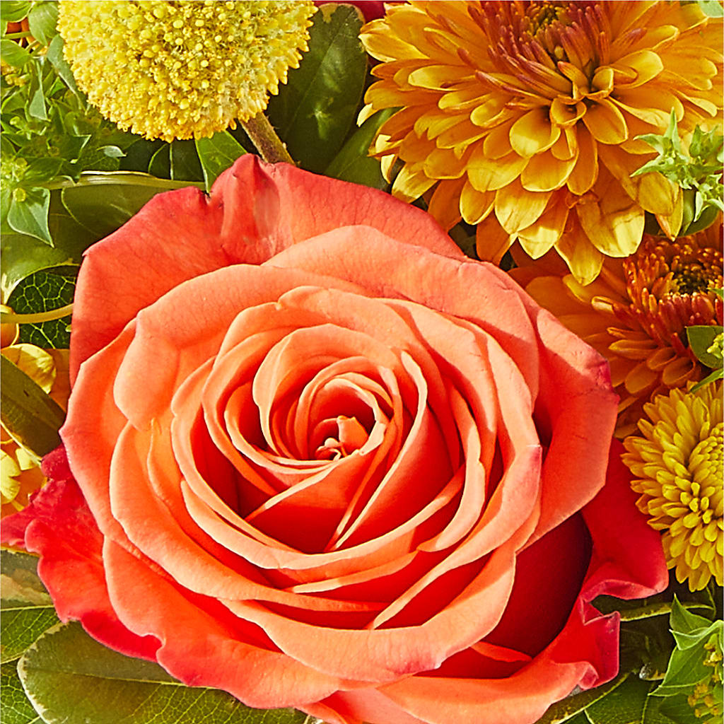 Gourdgeous Pumpkin – GEHRKE FLORAL & GREENHOUSES, Mondovi WI