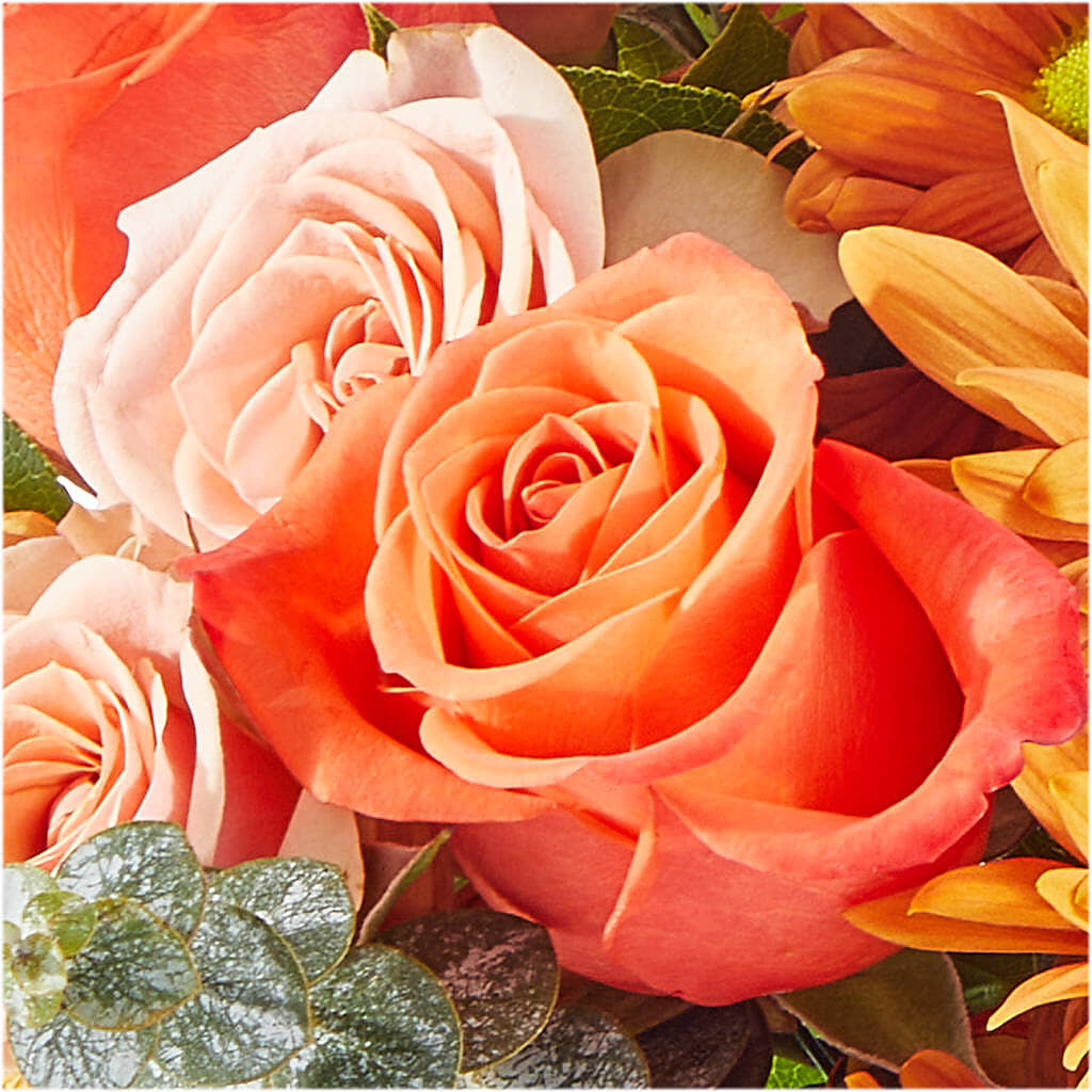 Scenic Route Bouquet – GEHRKE FLORAL & GREENHOUSES, Mondovi WI
