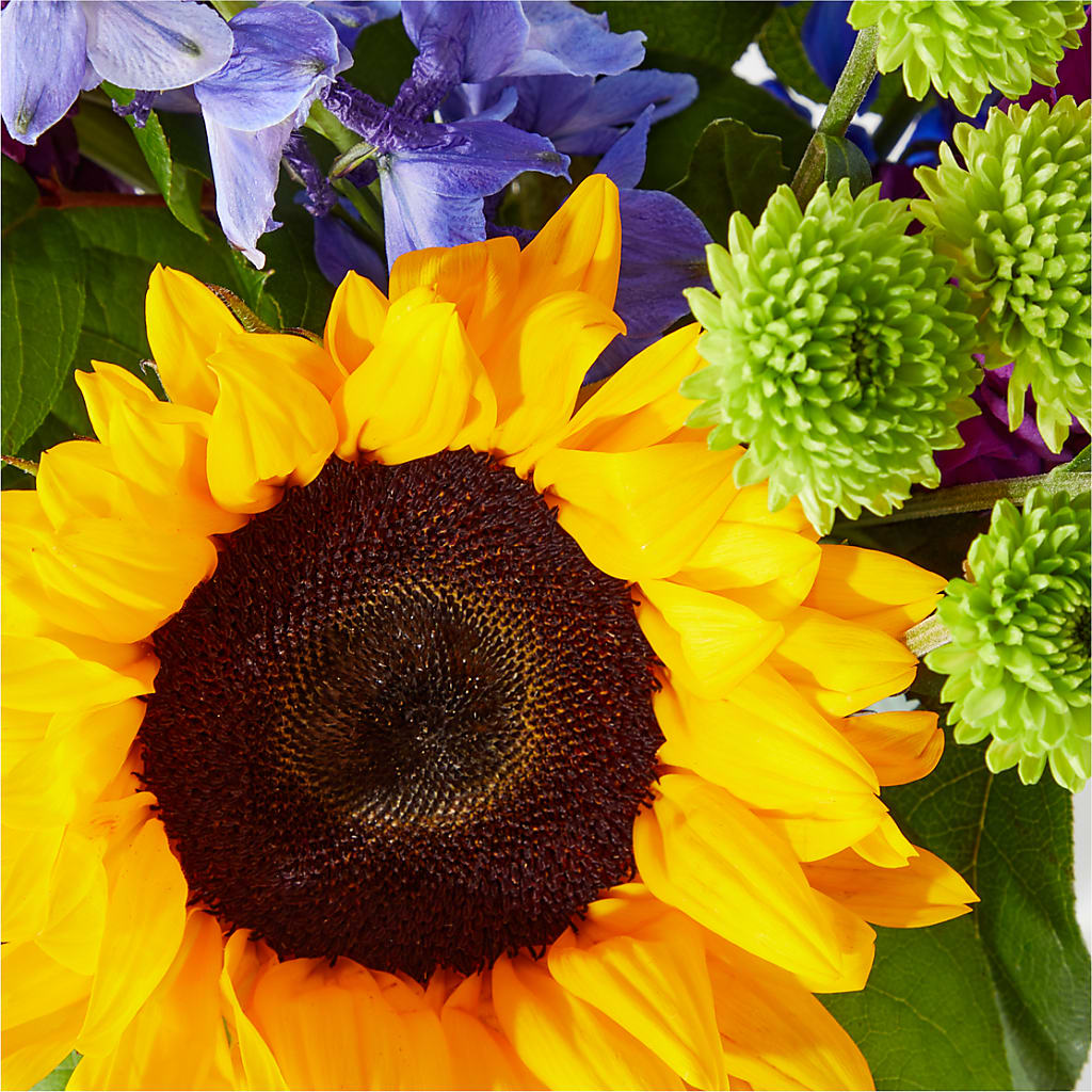 Catching Rays Bouquet – GEHRKE FLORAL & GREENHOUSES, Mondovi WI