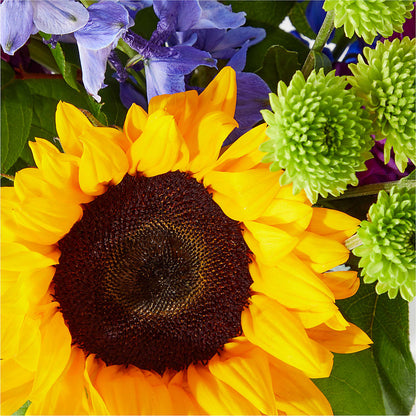 Catching Rays Bouquet – GEHRKE FLORAL & GREENHOUSES, Mondovi WI