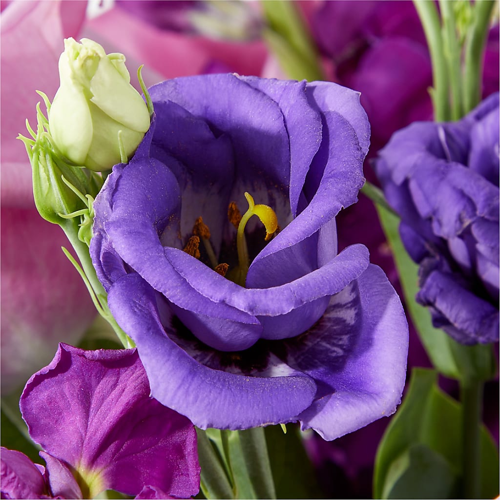 Twilight Glow Bouquet – GEHRKE FLORAL & GREENHOUSES, Mondovi WI