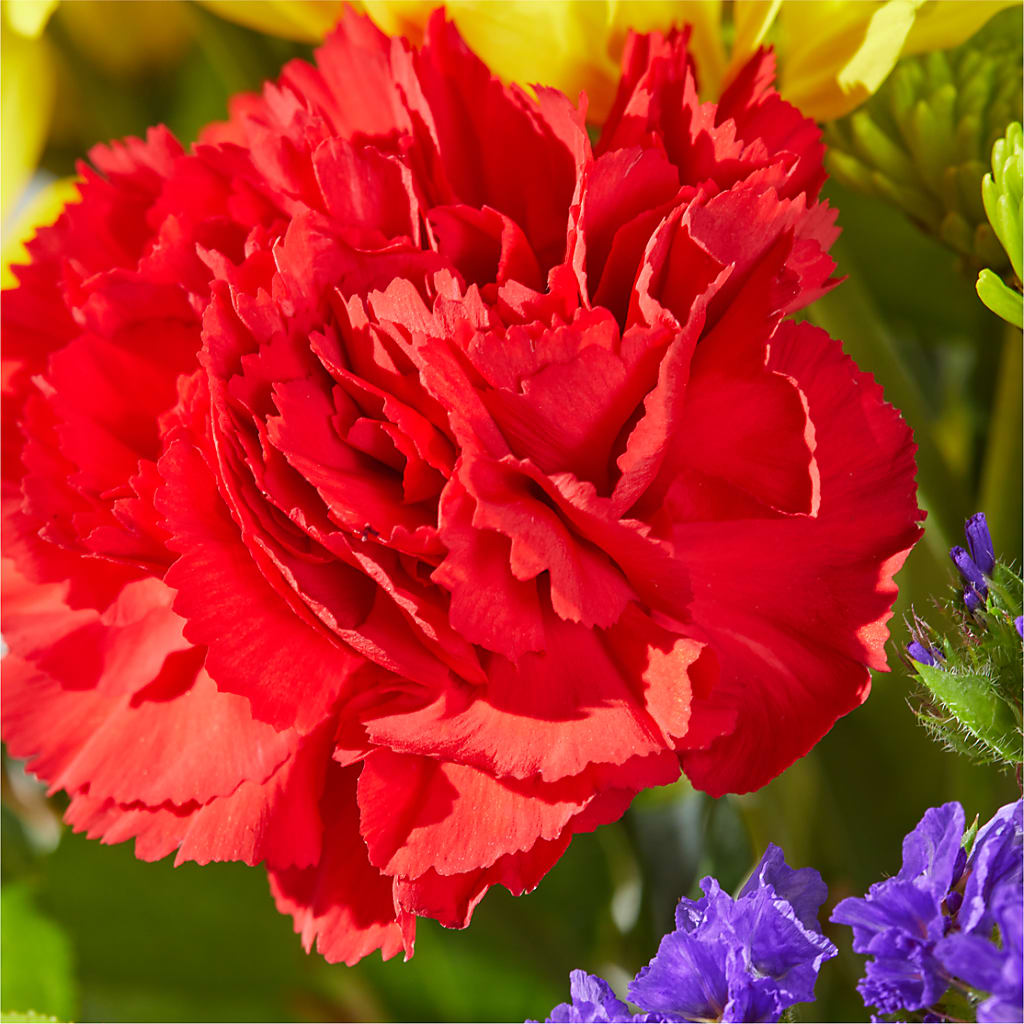 Brighter Days Bouquet – GEHRKE FLORAL & GREENHOUSES, Mondovi WI