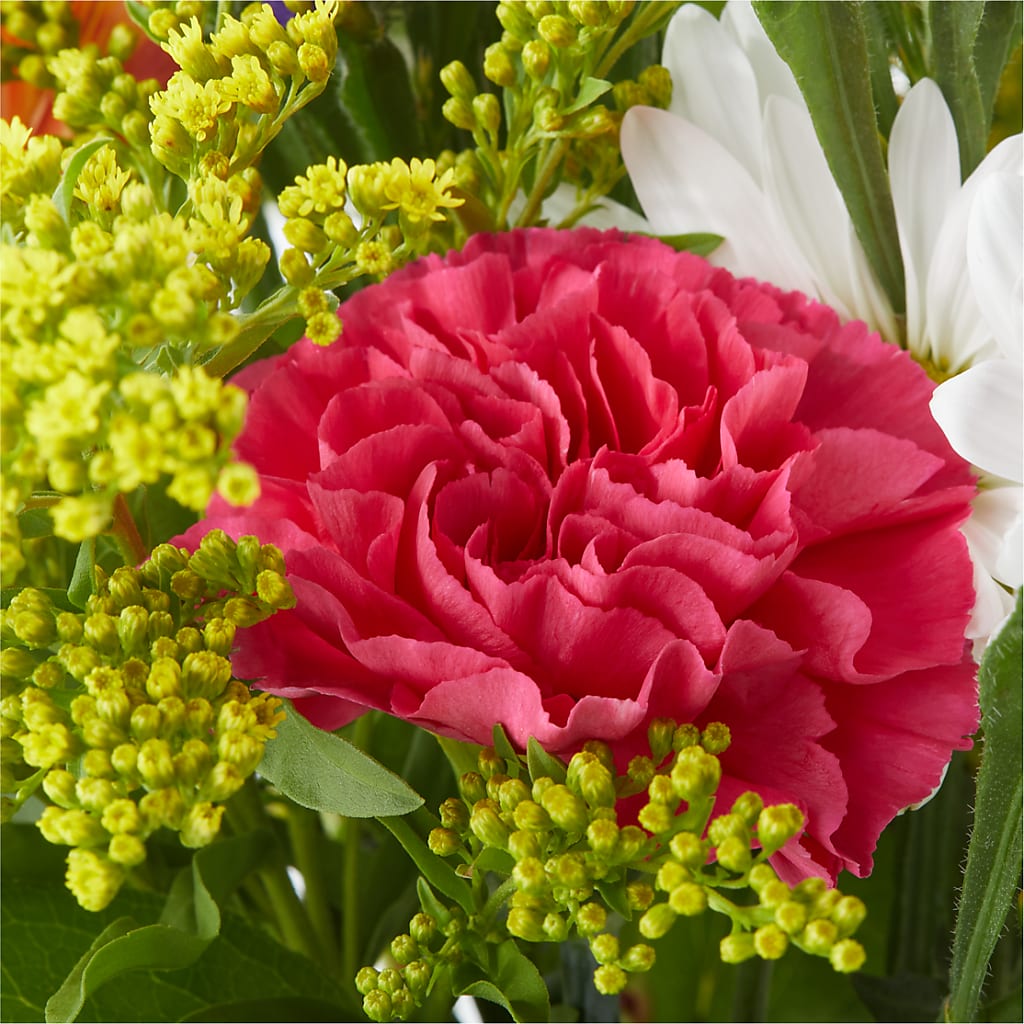 Oopsie Daisy Bouquet – GEHRKE FLORAL & GREENHOUSES, Mondovi WI
