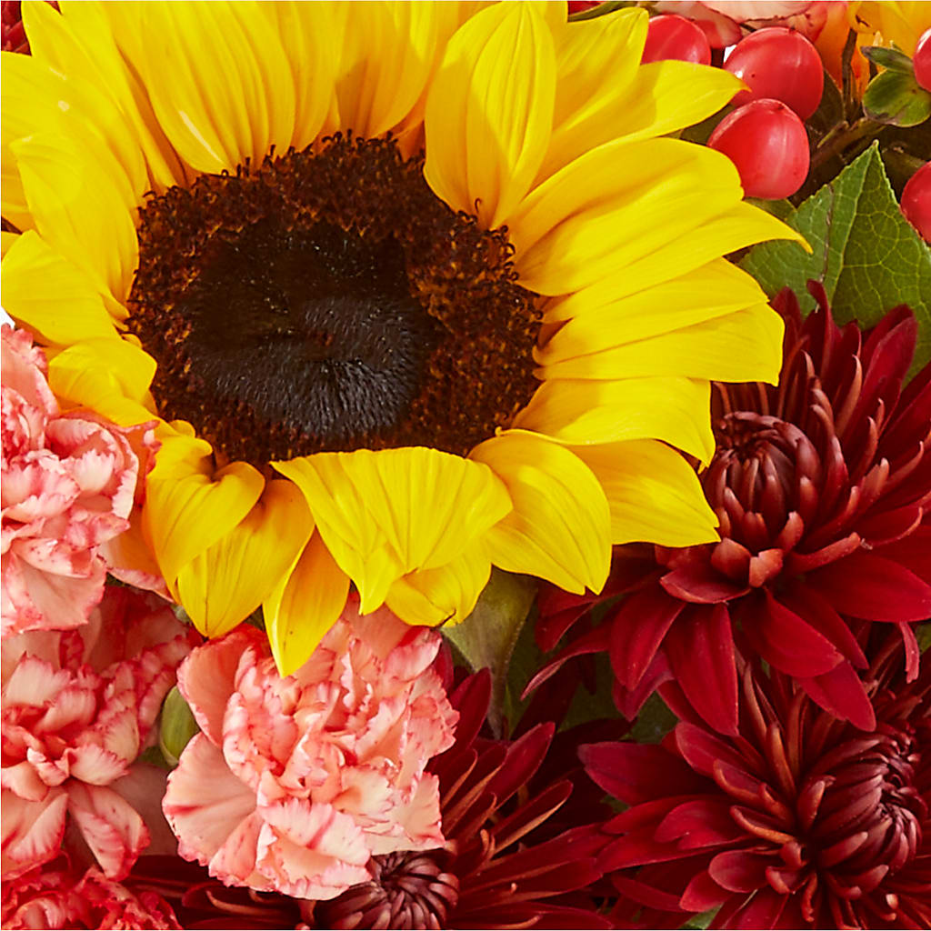 Fresh Cider Bouquet – GEHRKE FLORAL & GREENHOUSES, Mondovi WI