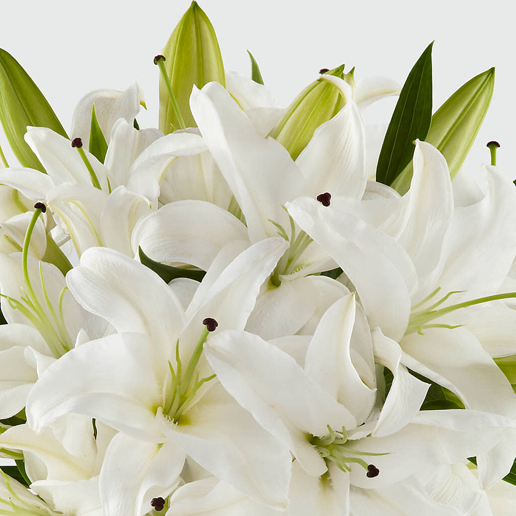 Faithful Blessings Bouquet – GEHRKE FLORAL & GREENHOUSES, Mondovi WI