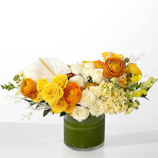 The Optimist – GEHRKE FLORAL & GREENHOUSES, Mondovi WI