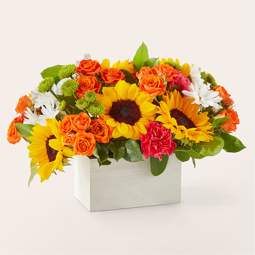 Sun-drenched Blooms Box Bouquet – GEHRKE FLORAL & GREENHOUSES, Mondovi WI