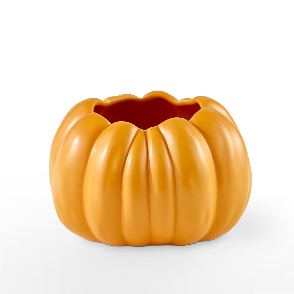 Pick of the Patch Pumpkin Bouquet – GEHRKE FLORAL & GREENHOUSES, Mondovi WI