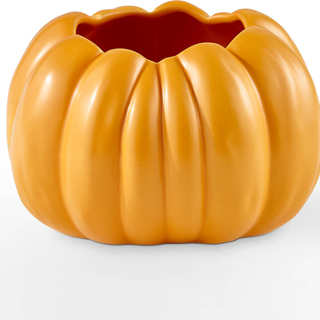 Golden Gourd Pumpkin Bouquet – GEHRKE FLORAL & GREENHOUSES, Mondovi WI